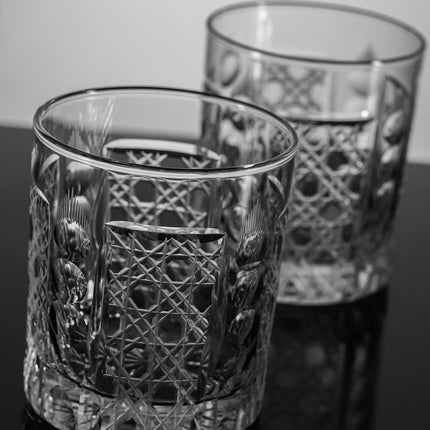 Wingfire Rocks Glasses 4